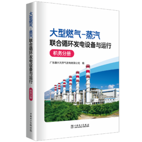 大型燃气-蒸汽联合循环发电设备与运行 机务分册