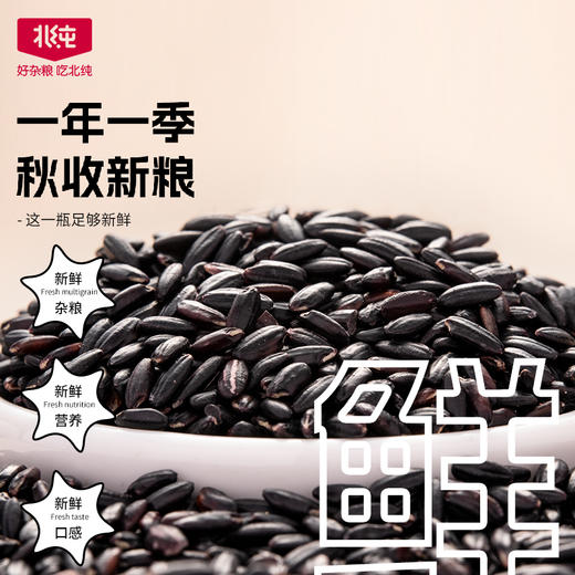 【北纯】有机黑米1.5kg（东北黑米 黑香米 粗粮杂粮 粥米伴侣 罐装 可溯源） 商品图1