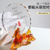 水晶奖杯定制定做创意光荣退休退伍纪念公司送单位员工感谢牌教师 商品缩略图5
