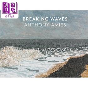 预售 【中商原版】Anthony Amies 进口艺术 安东尼 艾米斯：破浪前行 Hatje Cantz出版 个人艺术家专著