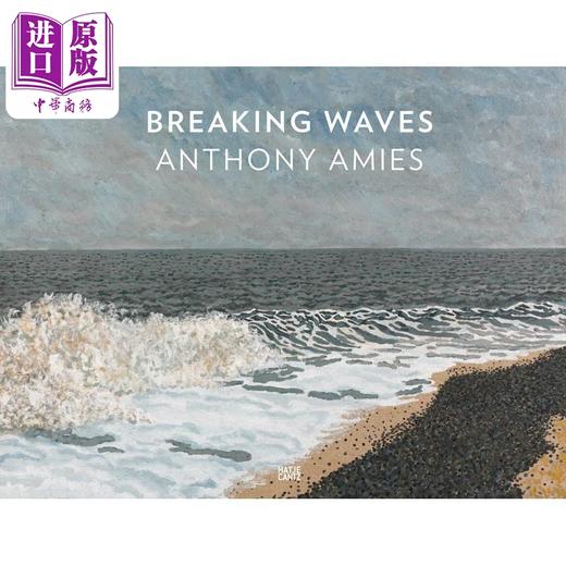 预售 【中商原版】Anthony Amies 进口艺术 安东尼 艾米斯：破浪前行 Hatje Cantz出版 个人艺术家专著 商品图0