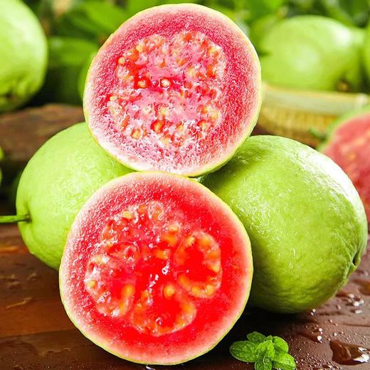 「5斤装！顺丰包邮」红心芭乐软心发顺丰红宝石芭乐番石榴现摘现发红心芭乐水果 商品图0