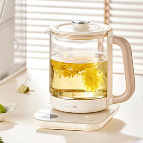 【小程序】小熊(Bear)养生壶 煮茶器 煮茶壶 烧水壶电水壶热水壶电热水壶 多段保温花茶壶果茶壶1.5L YSH-E15Z1