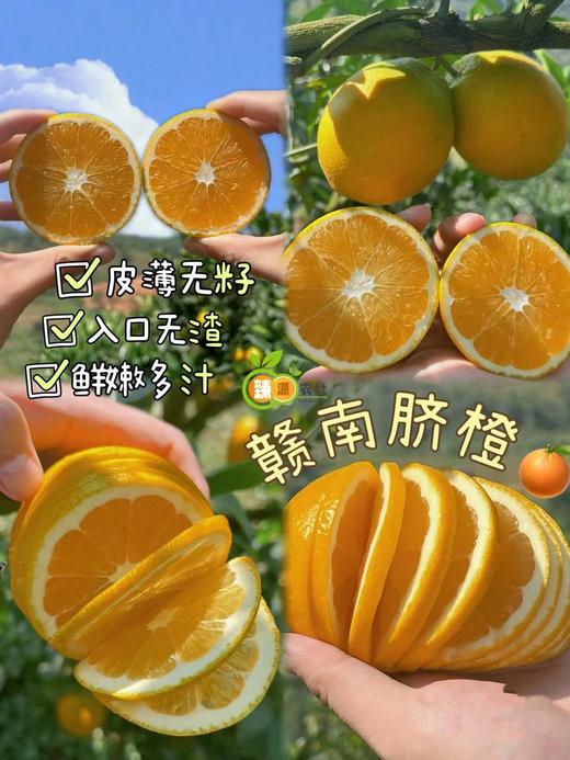 赣南脐橙 商品图0