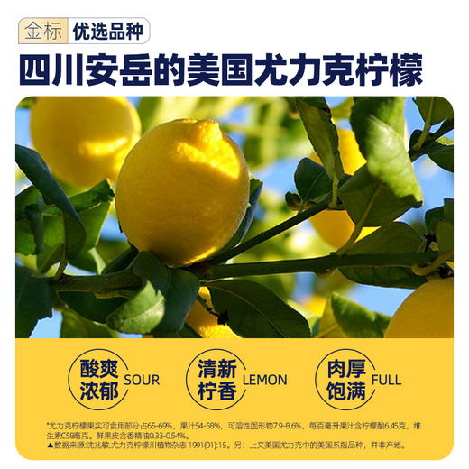 每鲜说冻干柠檬片泡水喝柠檬 不加糖纯柠檬片 商品图4