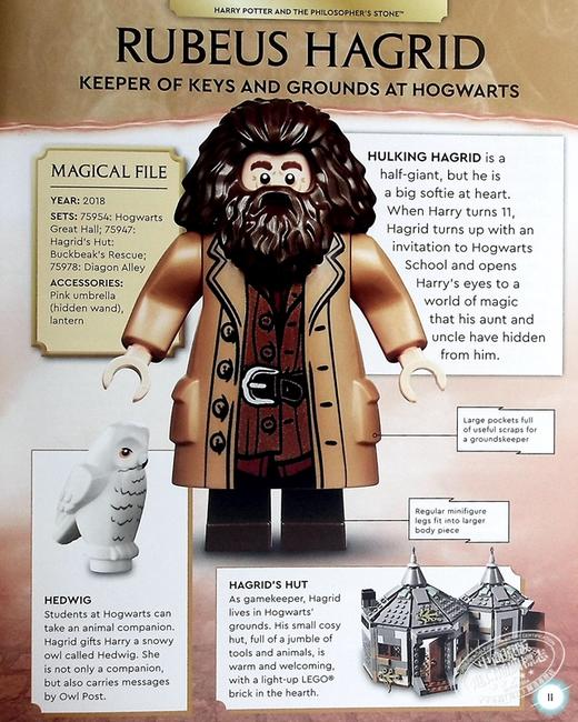 【中商原版】乐高哈利波特人物百科全书 哈利波特乐高书 LEGO Harry Potter Character Encyclopedia 英文原版 商品图5