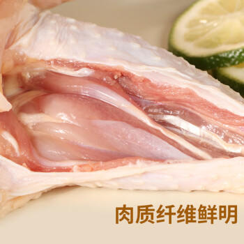 温氏供港农养公鸡 1.6斤 冷冻走地鸡90天农家散养大公鸡 笨鸡中华土鸡 商品图3