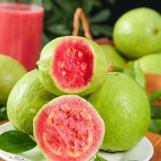 「5斤装！顺丰包邮」红心芭乐软心发顺丰红宝石芭乐番石榴现摘现发红心芭乐水果 商品图3