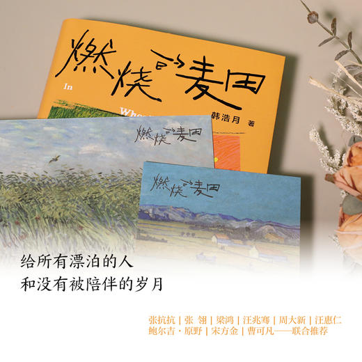 燃烧的麦田（在夜归的路上看过星星，在拥挤的人潮守望麦田。一代城乡人的梦想与羁绊，燃起每个游子心中的麦田。百花文学奖得主韩浩月，全新非虚构散文集。）(韩浩月) 商品图2