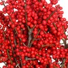 德邦空运包邮冬青 | 天物秋实A级（运输过程中易掉果、压伤,不售后，介意慎拍） 商品缩略图10