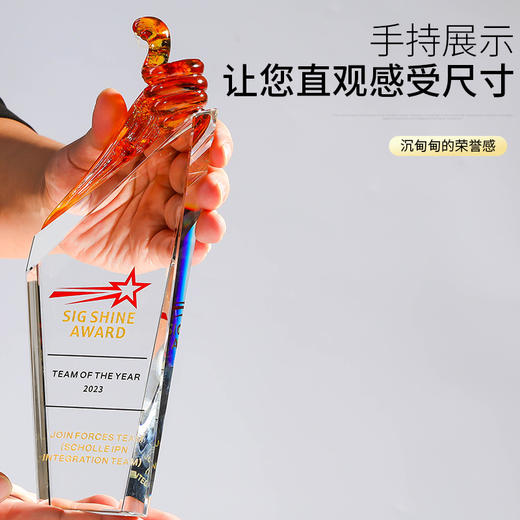 【琉璃】创意新款水晶高档奖杯定制定做玻璃奖牌纪念奖座颁奖刻字 商品图3