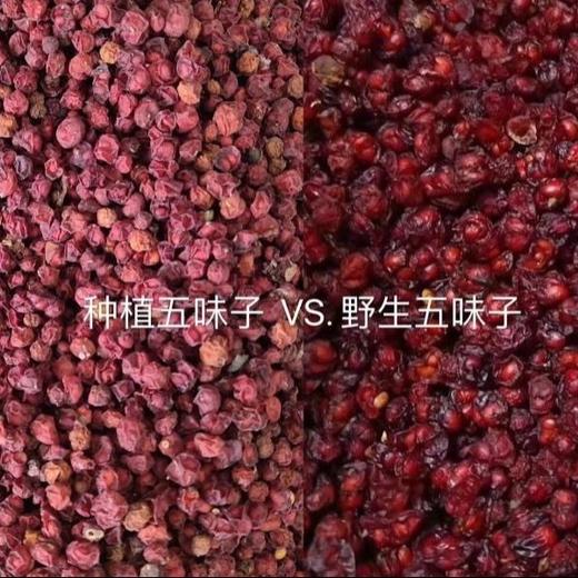 【长白山野生辽五味子】规格：125克/罐；道地北五味辽五味子；每周发一次货；道地产区/打霜后采摘/阳光晾晒/无硫熏、防腐剂 商品图11