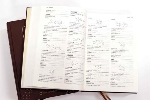 中国药品通用名称（化学药品卷）2024年版 商品图4