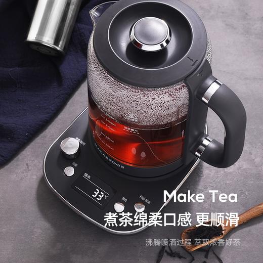 迈卡罗 （MACAIIROOS）养生壶 电水壶烧水壶煎药壶煮茶器煮茶壶电热水壶 带滤网 MC-YS161 商品图2