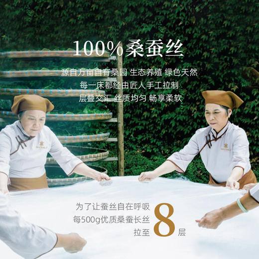 万事利G20金标升级版-纯蚕丝被 商品图1