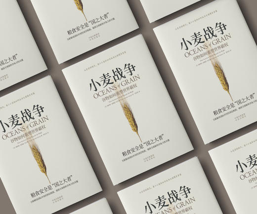 小麦战争：谷物如何重塑世界霸权 朱嘉明、何秀荣、姚向君、王巍、温铁军、徐瑾、《棉花帝国》作者斯文·贝克特联袂推荐 全球跨度的深入探索，世界史最有力的全新诠释 商品图1