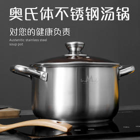 英麦斯爱米尔多功能汤锅YGT203122