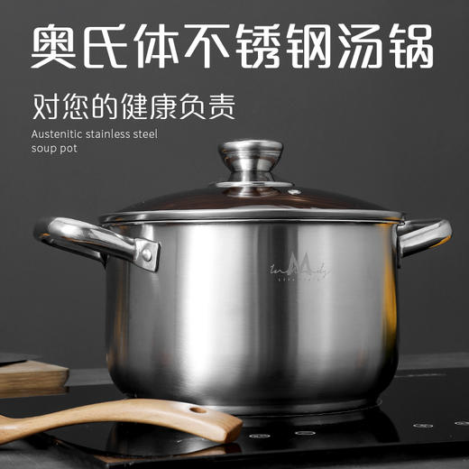 英麦斯爱米尔多功能汤锅YGT203122 商品图0
