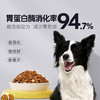 【新人专享】益消肉果全价犬粮500g冻干狗粮成幼犬通用 泰迪博美 商品缩略图5