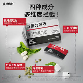FX 理想燃料 | 四重力黑巧6g*15片装