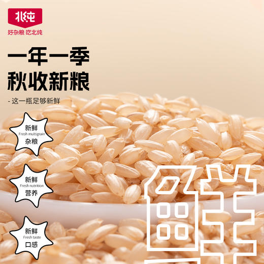 【北纯】有机糙米1.5kg（东北 粗粮杂粮 大米伴侣 粥米搭档 可溯源）罐装 商品图2