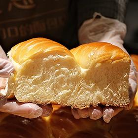 现烤面包—酷斯拉