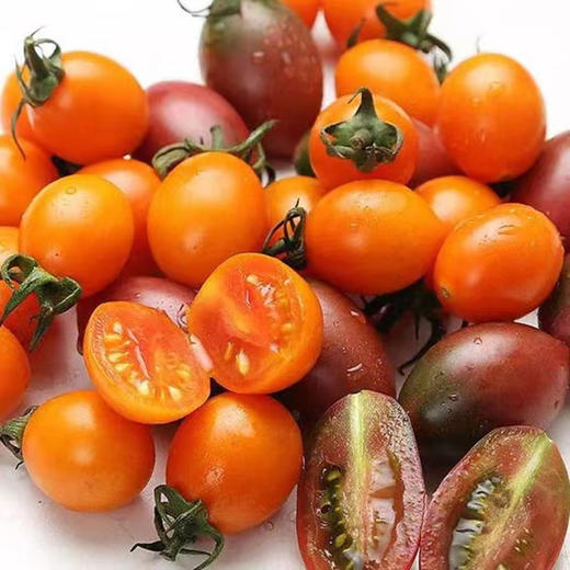 【福建高颜值三色小番茄组合】农家圣女果+紫葡萄+金玲珑、颗颗脆甜爆汁，香甜可口，露天种植，自然成熟 商品图5