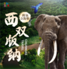 12月错峰抄底价<版纳高端亲子6日游>比东南亚更绝的人间宝藏！野象谷、曼听公园、中科院植物园、原始森林等，高端食宿0购物亲子团！ 商品缩略图0