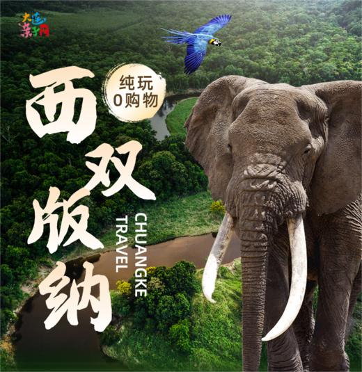 12月错峰抄底价<版纳高端亲子6日游>比东南亚更绝的人间宝藏！野象谷、曼听公园、中科院植物园、原始森林等，高端食宿0购物亲子团！ 商品图0