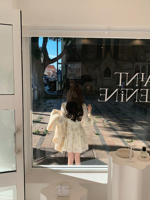 金蘑菇菇 小纸鸢 / holiday节日氛围重工100棉印花蕾丝收腰连衣裙 商品图3