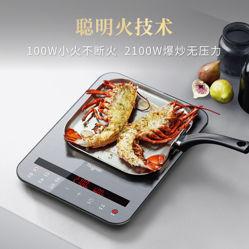 钛古（Taigroo）钛古电磁炉家用触控按键变频连续小火低音超薄电磁灶家电火锅煎炒套装 一代星空灰裸机.(国产板)