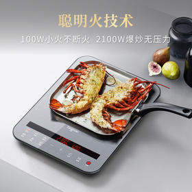 钛古（Taigroo）钛古电磁炉家用触控按键变频连续小火低音超薄电磁灶家电火锅煎炒套装 一代星空灰裸机.(国产板)