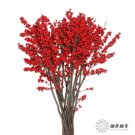 德邦空运包邮冬青 | 天物秋实A级（运输过程中易掉果、压伤,不售后，介意慎拍） 商品图8