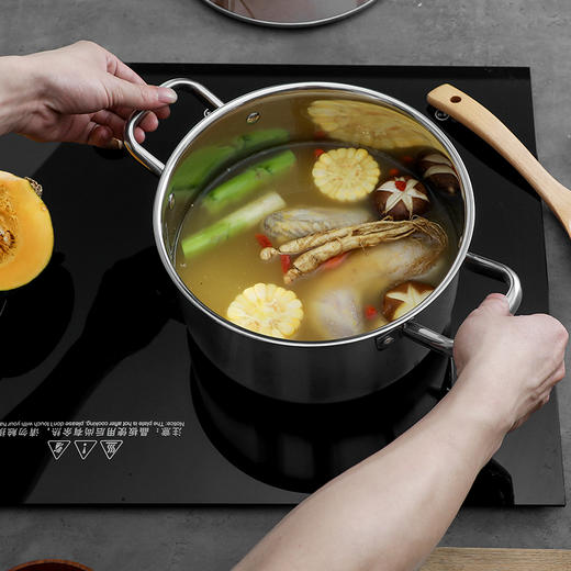 英麦斯爱米尔多功能汤锅YGT203122 商品图3