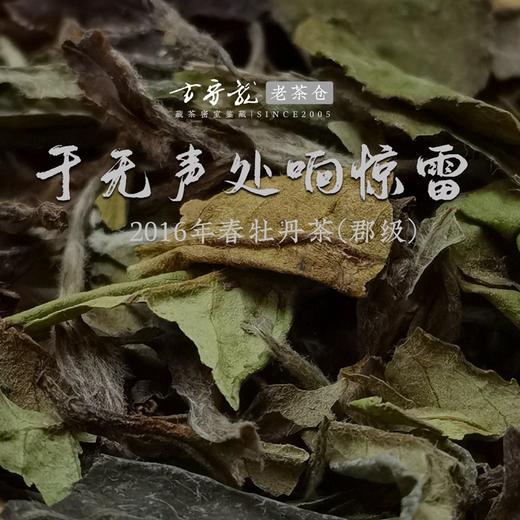 方守龙老茶仓 2016年春牡丹茶(郡级) 七年宝福鼎老白茶 藏茶密室宝之 商品图1