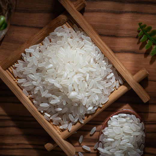 【北纯】五常大米5kg（真空包装） 商品图6