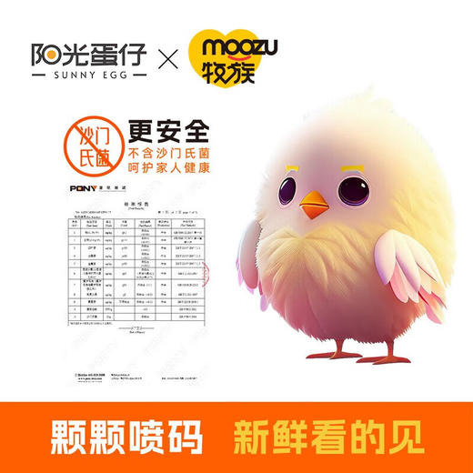 阳光蛋仔 可生食鲜鸡蛋 无抗生素  可生食复合营养鲜鸡蛋30枚 商品图1