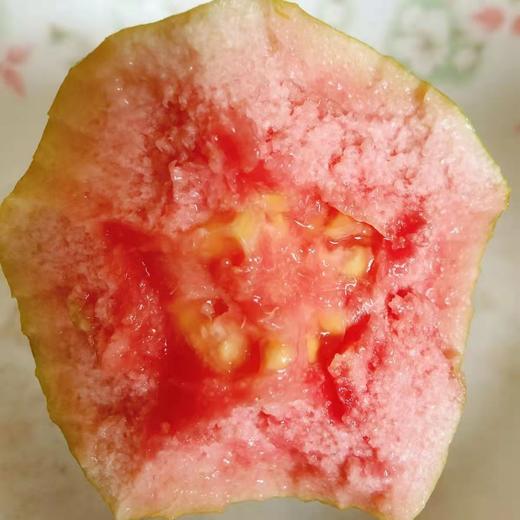 「5斤装！顺丰包邮」红心芭乐软心发顺丰红宝石芭乐番石榴现摘现发红心芭乐水果 商品图1