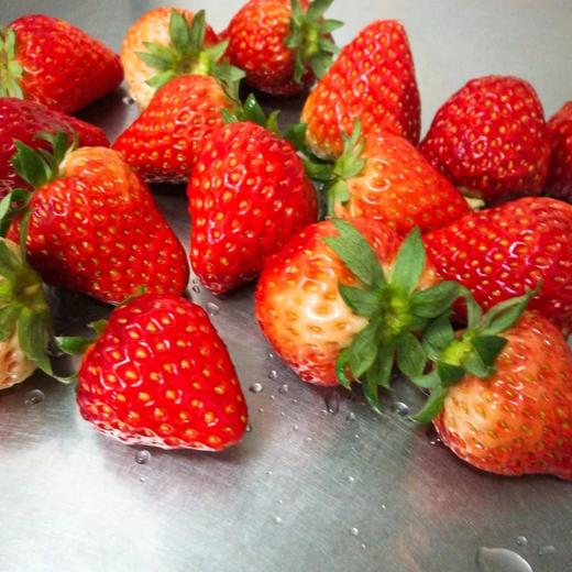 草莓鲜牛乳 商品图1