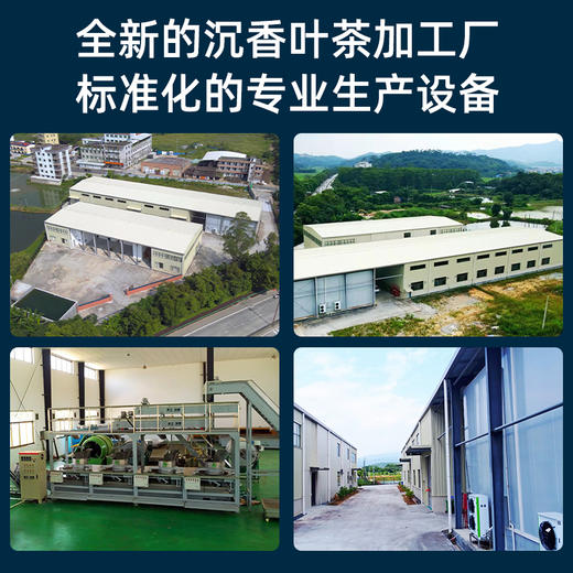 祥聚禅沉香叶茶（代用茶）礼盒装96g 商品图2