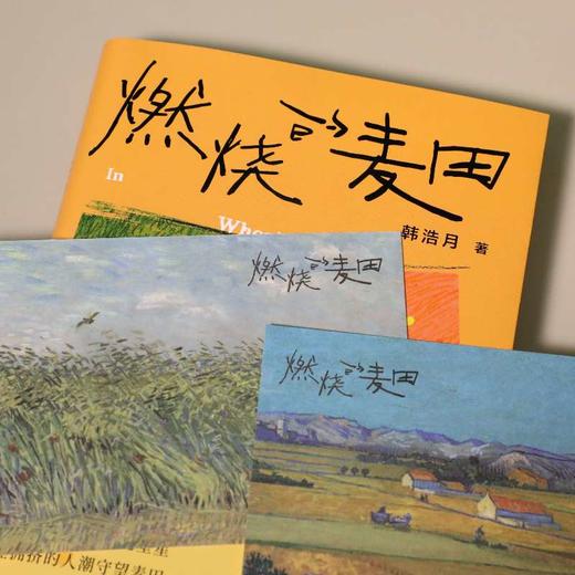 燃烧的麦田（在夜归的路上看过星星，在拥挤的人潮守望麦田。一代城乡人的梦想与羁绊，燃起每个游子心中的麦田。百花文学奖得主韩浩月，全新非虚构散文集。）(韩浩月) 商品图4