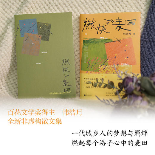 燃烧的麦田（在夜归的路上看过星星，在拥挤的人潮守望麦田。一代城乡人的梦想与羁绊，燃起每个游子心中的麦田。百花文学奖得主韩浩月，全新非虚构散文集。）(韩浩月) 商品图1