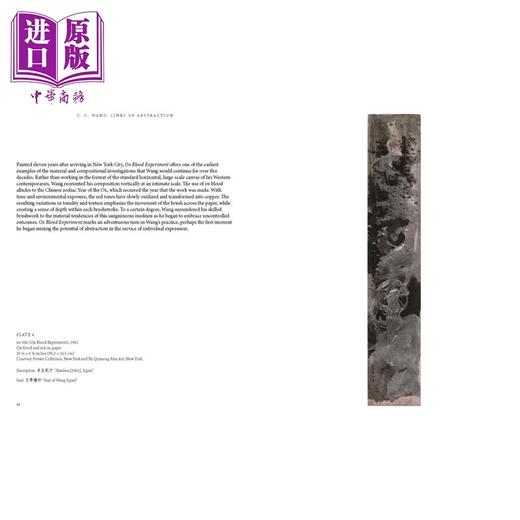 【中商原版】C.C. Wang Lines Of Abstraction 进口艺术 C.C. Wang 抽象的线条 Hirmer出版 艺术理论与评论 商品图4
