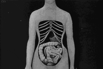 穿上秒变蜜桃臀、小蛮腰，闺蜜靠它撩到男神腿软…