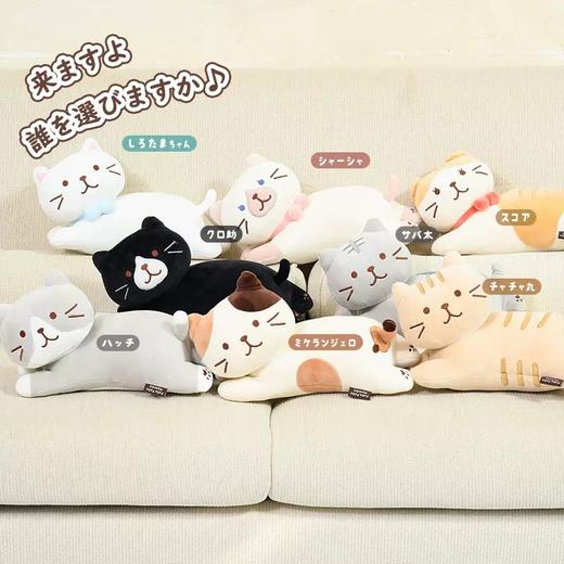 HAPINS毛绒 商品图6