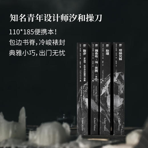 罗伯特·瓦尔泽作品集《散步：中短篇小说集》《雅各布·冯·贡腾：一本日记》《助理》《坦纳兄妹》 商品图3