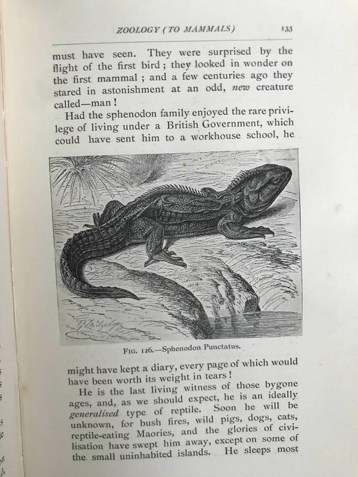 1906年 进化图鉴（卷1） 182幅插图 漆布精装32开 商品图7