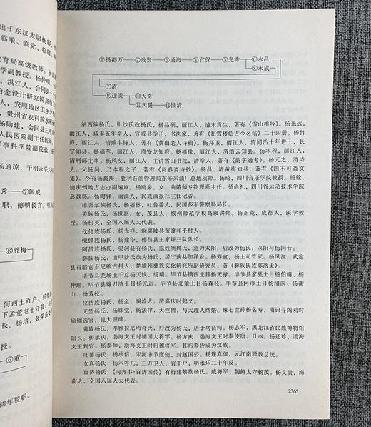 《中华姓氏源流史》，精装，16开，全4册，何光岳著，湖南教育出版社2003年一版一印，4832页，定价1680，售价468元。 商品图11