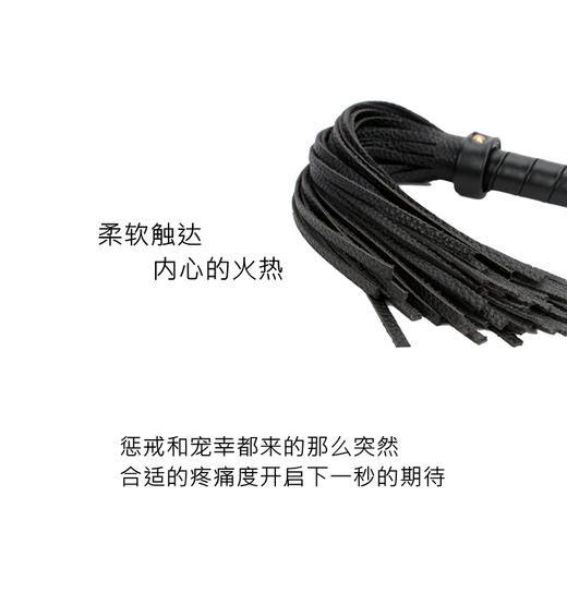 Colour.C恋人请放开&入门情趣三件套（眼罩，羽毛，静电胶带，鞭子，手工捆绑娃娃） 商品图4