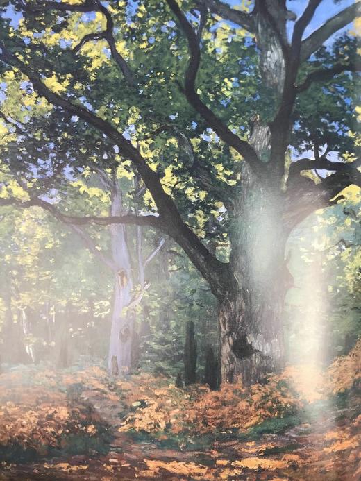 莫奈与巴齐耶的合作 77幅插图（55幅彩色） 精装大16开 商品图8